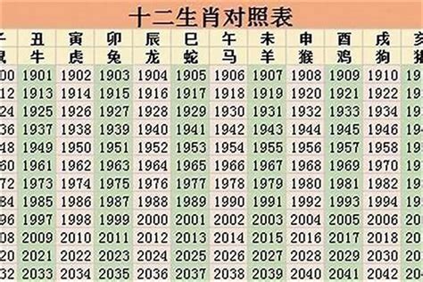 96年属|1996 年出生属什么生肖